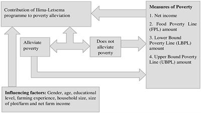 The Ilima-Letsema programme's contribution to poverty alleviation in Gauteng Province, South Africa